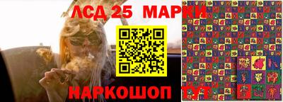гидропоника Дубна