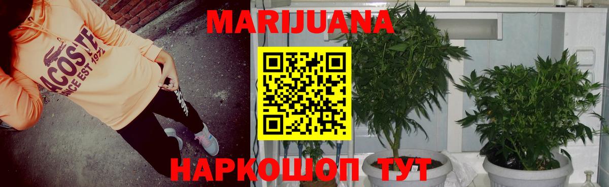 Красноярск  Бошки Шишки MAZAR  Вход с VPN  Конопля тримм 